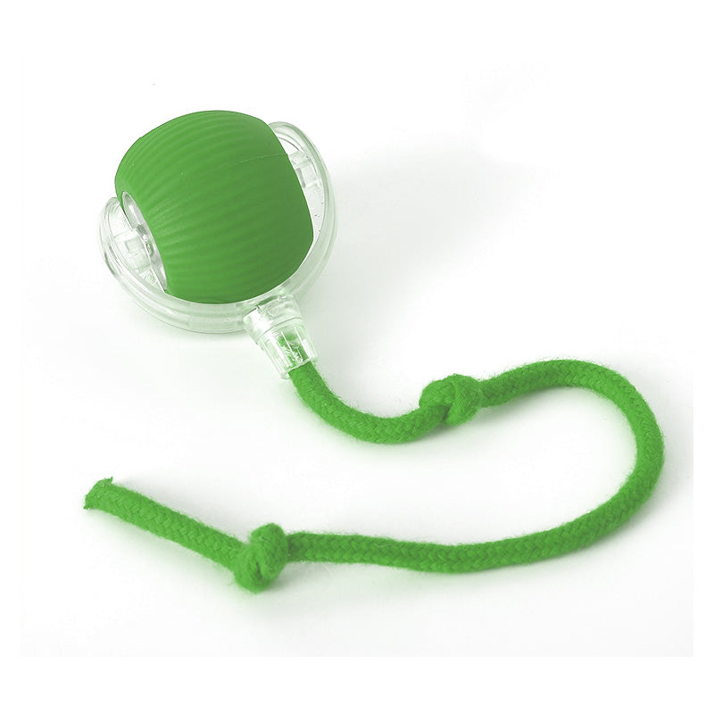 Bounce legetøj til aktive og nysgerrige katte 