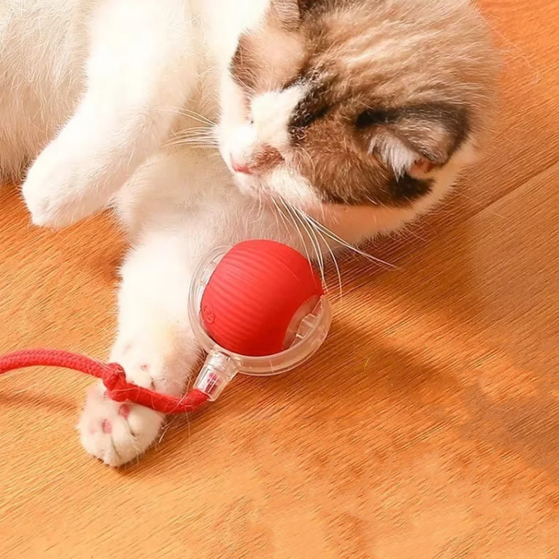 Bounce legetøj til aktive og nysgerrige katte 