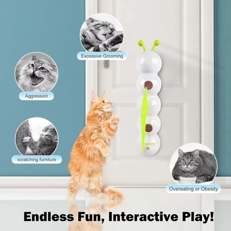 Smart wall toy for active and curious cats 