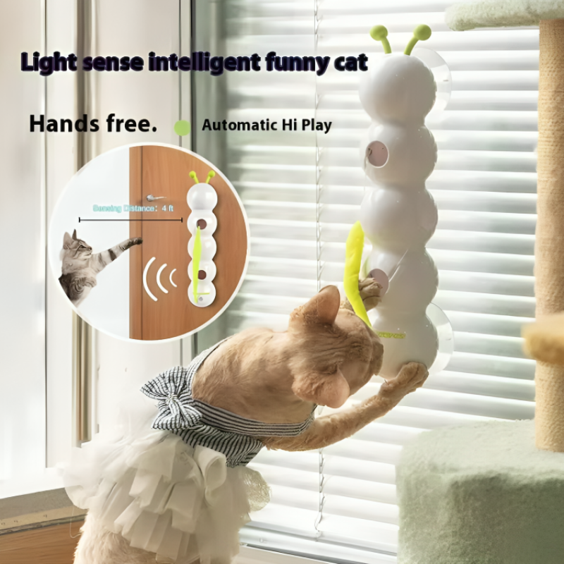Smart wall toy for active and curious cats 