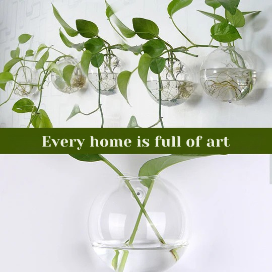 قم بإبراز نباتاتك على جدرانك، دون الحاجة إلى ثقب 