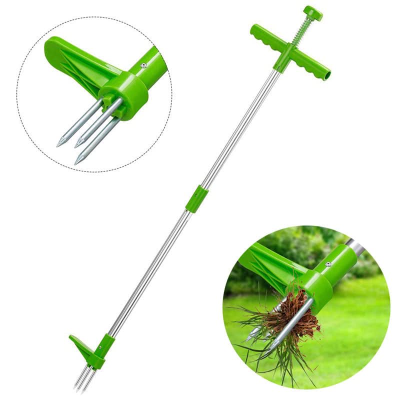 Extracteur de Mauvaises Herbes en Acier pour le Jardin