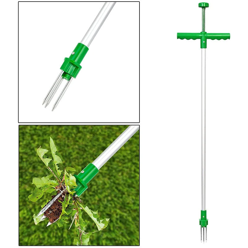 Extracteur de Mauvaises Herbes en Acier pour le Jardin