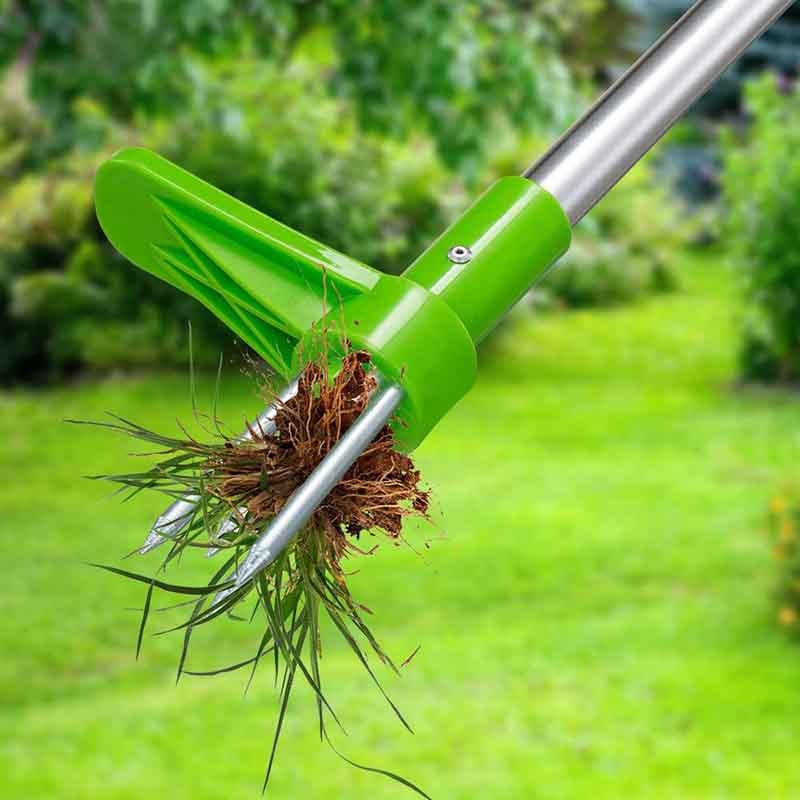 Extracteur de Mauvaises Herbes en Acier pour le Jardin